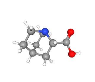 aladdin 阿拉丁 A589366 2-奎宁环羧酸盐酸盐 52601-23-7 97%