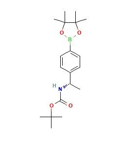 aladdin 阿拉丁 S586489 (S)-(1-(4-硼酸频哪醇酯基苯基)乙基)氨基甲酸叔丁酯 1171897-03-2 95%