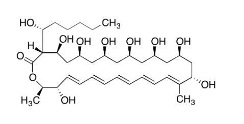 aladdin 阿拉丁 F286897 菲律宾菌素 Ⅲ 480-49-9 95%