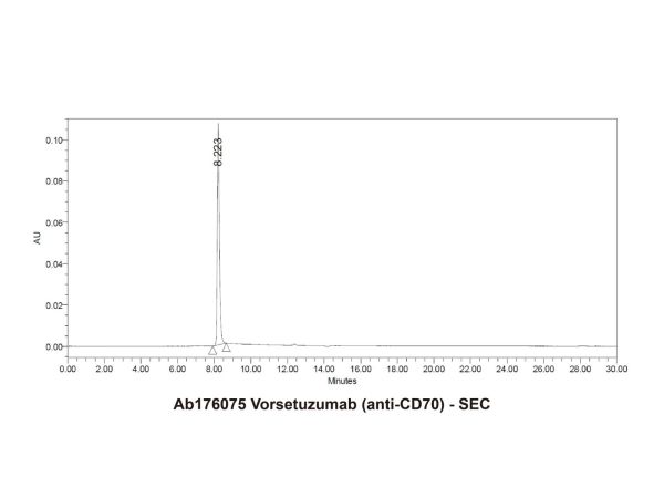 aladdin 阿拉丁 Ab176075 Vorsetuzumab (anti-CD70) 1165740-62-4 Purity>95% (SDS-PAGE&SEC); Endotoxin Level<1.0EU/mg; Human IgG1; CHO; ELISA, FACS, Functional assay, Animal Model; Unconjugated