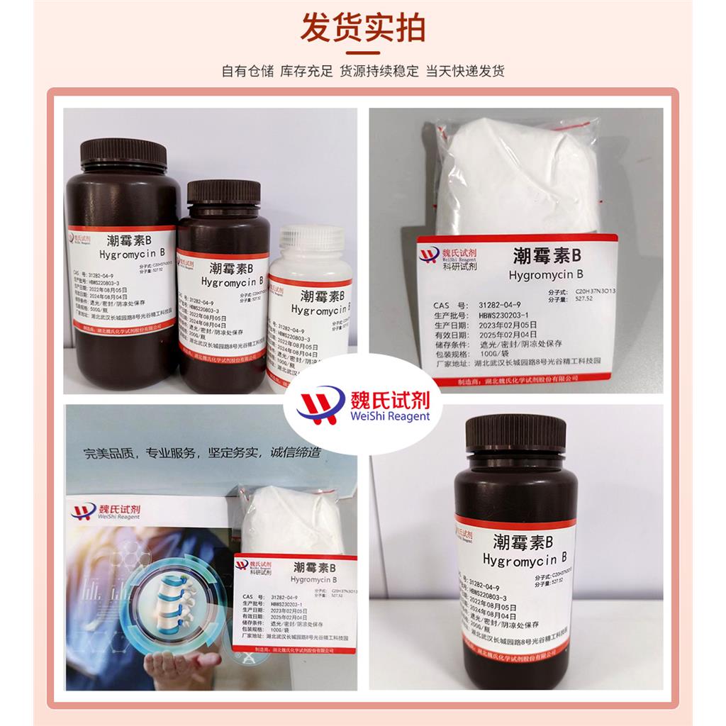 潮霉素 B—31282-04-9