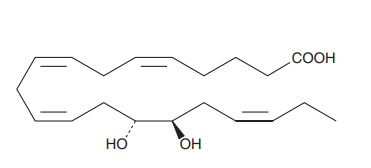 aladdin 阿拉丁 D390178 (±)14,15-DiHETE 98%，100 ug/mL in ethanol