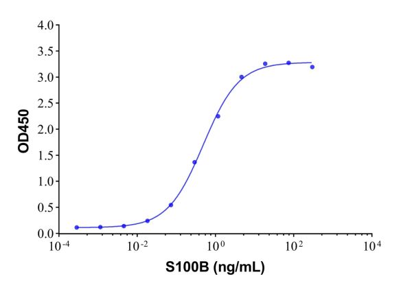 aladdin 阿拉丁 Ab008408 S100B Mouse mAb mAb(5H2-3); Mouse anti Human S100B Antibody; Detection or Capture Antibody, ELISA, CLIA, LF, GICA, FIA; Unconjugated