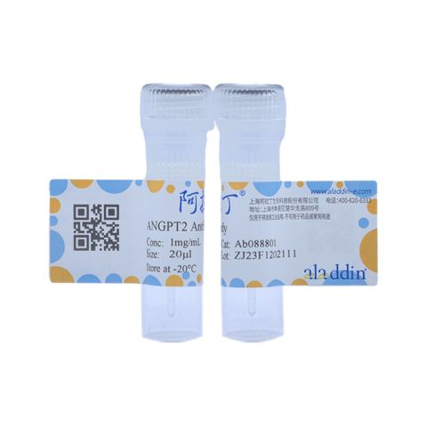 aladdin 阿拉丁 Ab088801 ANGPT2 Antibody pAb; Rabbit anti Human ANGPT2 Antibody; WB, IHC; Unconjugated