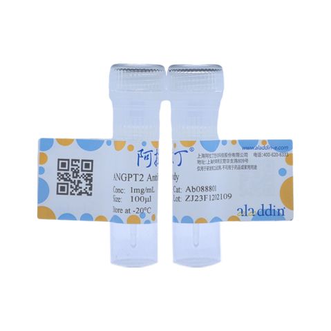 aladdin 阿拉丁 Ab088801 ANGPT2 Antibody pAb; Rabbit anti Human ANGPT2 Antibody; WB, IHC; Unconjugated