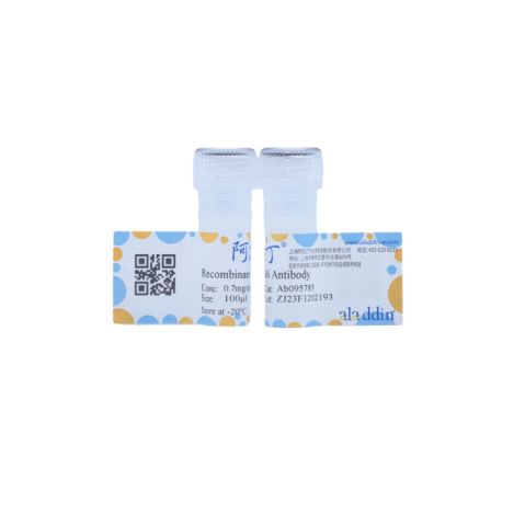 aladdin 阿拉丁 Ab095783 Recombinant Cdk6 Antibody Recombinant (R03-2G5); Rabbit anti Human CDK6 Antibody; WB; Unconjugated