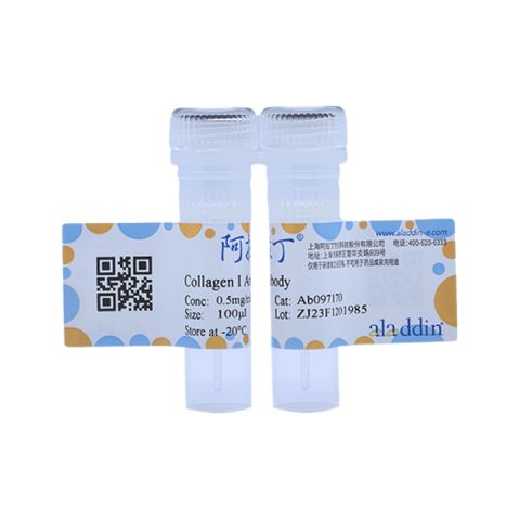 aladdin 阿拉丁 Ab097170 Collagen I Antibody pAb; Rabbit anti Human Collagen I Antibody; WB; Unconjugated