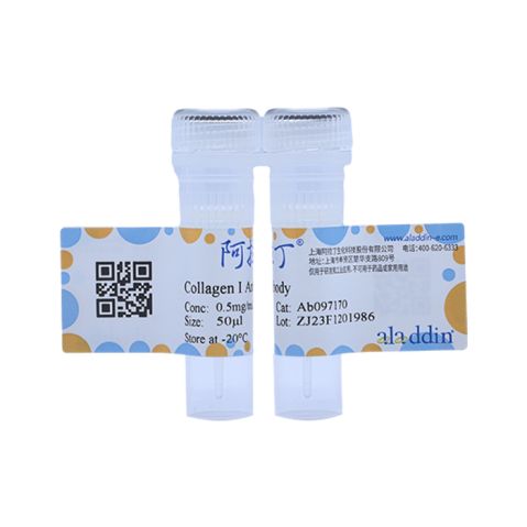 aladdin 阿拉丁 Ab097170 Collagen I Antibody pAb; Rabbit anti Human Collagen I Antibody; WB; Unconjugated