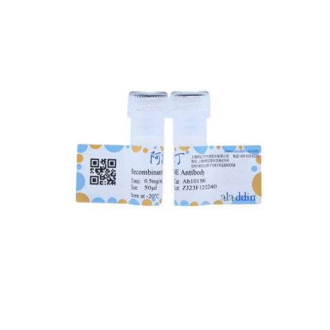 aladdin 阿拉丁 Ab101380 Recombinant eIF4E Antibody Recombinant (R04-4H7); Rabbit anti Human eIF4E Antibody; WB, IHC; Unconjugated
