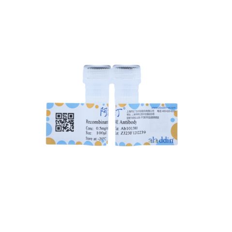 aladdin 阿拉丁 Ab101380 Recombinant eIF4E Antibody Recombinant (R04-4H7); Rabbit anti Human eIF4E Antibody; WB, IHC; Unconjugated