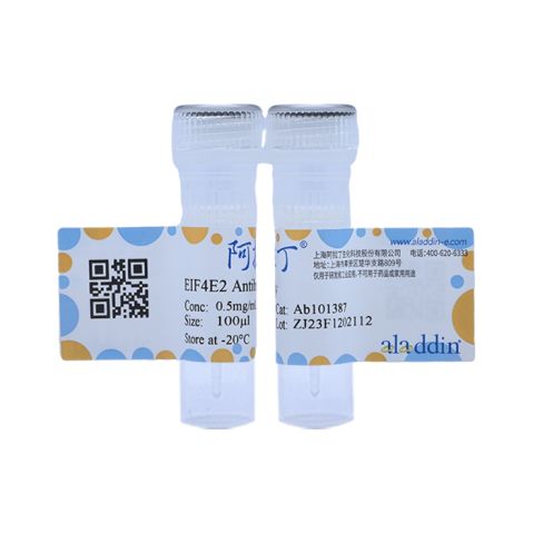 aladdin 阿拉丁 Ab101387 EIF4E2 Antibody pAb; Rabbit anti Human EIF4E2 Antibody; WB, IHC; Unconjugated