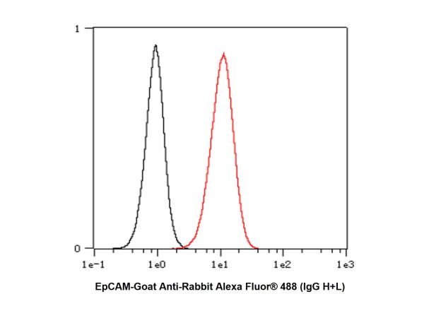 aladdin 阿拉丁 Ab101839 Recombinant EpCAM Antibody Recombinant (RR694); Rabbit anti Human EpCAM Antibody; WB, IHC, Flow, IP; Unconjugated