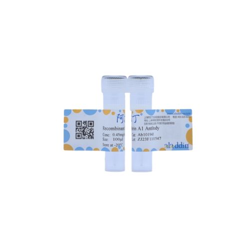 aladdin 阿拉丁 Ab101943 Recombinant Ephrin A1 Antibody Recombinant (R09-5N5); Rabbit anti Human Ephrin A1 Antibody; WB; Unconjugated