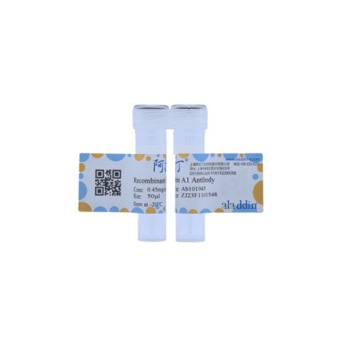 aladdin 阿拉丁 Ab101943 Recombinant Ephrin A1 Antibody Recombinant (R09-5N5); Rabbit anti Human Ephrin A1 Antibody; WB; Unconjugated
