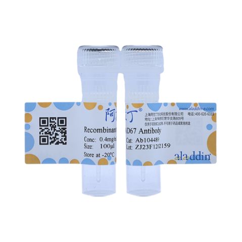 aladdin 阿拉丁 Ab104489 Recombinant GAD67 Antibody Recombinant (R06-2D9); Rabbit anti Human GAD67 Antibody; WB; Unconjugated