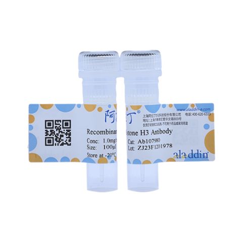 aladdin 阿拉丁 Ab107980 Recombinant Histone H3 Antibody Recombinant (RR692); Rabbit anti Human Histone H3 Antibody; WB, IHC, Flow, IP; Unconjugated