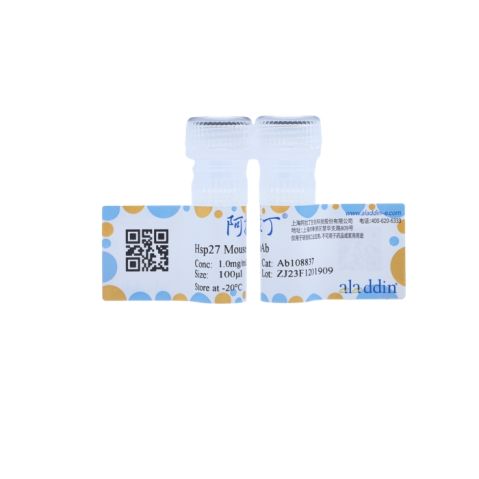 aladdin 阿拉丁 Ab108837 Hsp27 Mouse mAb mAb (D2); Mouse anti Human Hsp27 Antibody; WB; Unconjugated