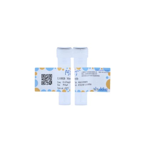 aladdin 阿拉丁 Ab109838 IL10RB  Mouse mAb mAb (C1); Mouse anti Human IL10RB Antibody; WB; Unconjugated