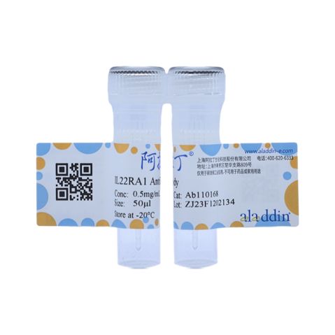 aladdin 阿拉丁 Ab110168 IL22RA1 Antibody pAb; Rabbit anti Human IL22RA1 Antibody; WB; Unconjugated