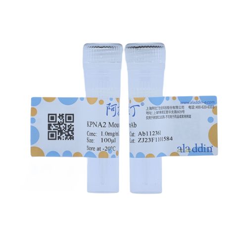 aladdin 阿拉丁 Ab112361 KPNA2 Mouse mAb mAb(C8); Mouse anti Human KPNA2 Antibody; WB, IHC; Unconjugated