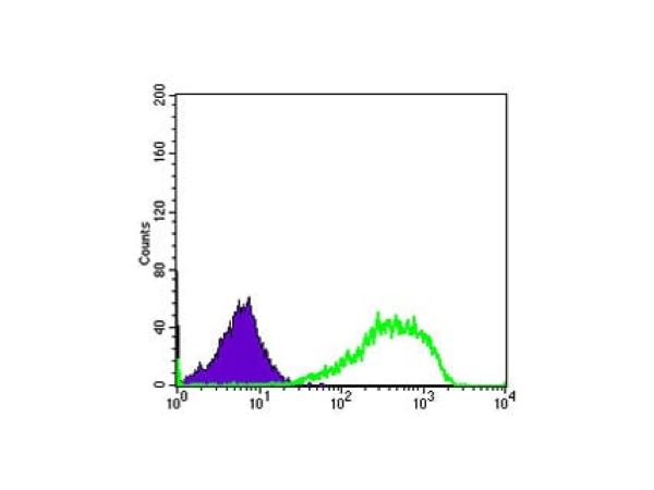 aladdin 阿拉丁 Ab112438 Ku80 Mouse mAb mAb (5C5); Mouse anti Human Ku80 Antibody; WB, ELISA, IHC, Flow, IF, ICC; Unconjugated