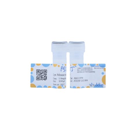 aladdin 阿拉丁 Ab113790 Lyn Mouse mAb mAb (1C8-H3-G6); Mouse anti Human Lyn Antibody; WB; Unconjugated