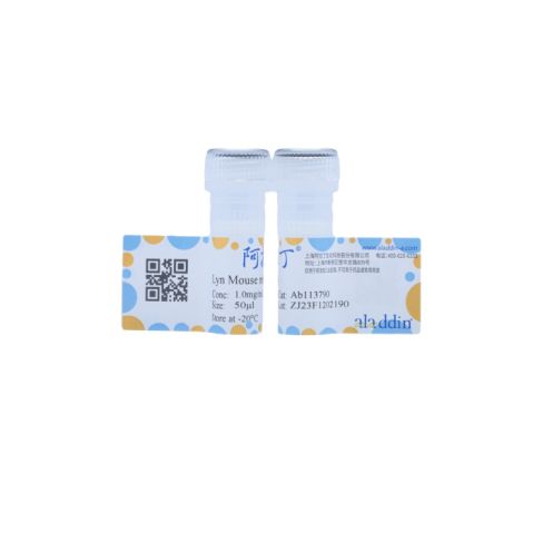 aladdin 阿拉丁 Ab113790 Lyn Mouse mAb mAb (1C8-H3-G6); Mouse anti Human Lyn Antibody; WB; Unconjugated