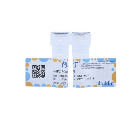 aladdin 阿拉丁 Ab115657 MMP2 Mouse mAb mAb (C1); Mouse anti Human MMP2 Antibody; WB, IHC; Unconjugated