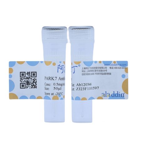 aladdin 阿拉丁 Ab120346 PARK7 Antibody pAb; Rabbit anti Human PARK7 Antibody; WB, IHC; Unconjugated