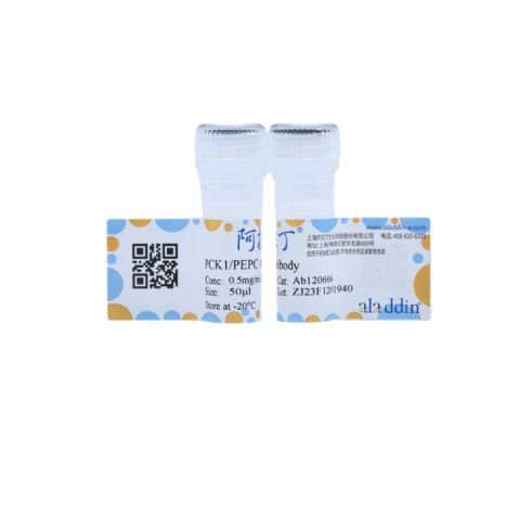 aladdin 阿拉丁 Ab120666 PCK1/PEPC Antibody pAb; Rabbit anti Human PCK1/PEPC Antibody; WB; Unconjugated