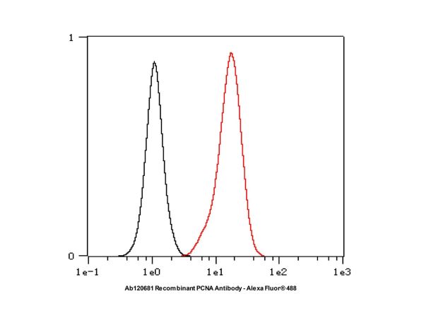 aladdin 阿拉丁 Ab120681 Recombinant PCNA Antibody Recombinant (RR704); Rabbit anti Human PCNA Antibody; WB, Flow, IP; Unconjugated