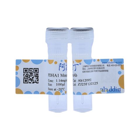 aladdin 阿拉丁 Ab120952 PDHA1 Mouse mAb mAb (3H2-F8-B5); Mouse anti Human PDHA1 Antibody; WB, ICC, IF; Unconjugated