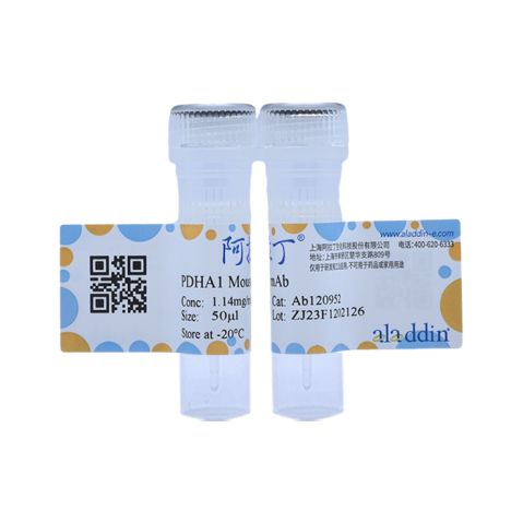 aladdin 阿拉丁 Ab120952 PDHA1 Mouse mAb mAb (3H2-F8-B5); Mouse anti Human PDHA1 Antibody; WB, ICC, IF; Unconjugated