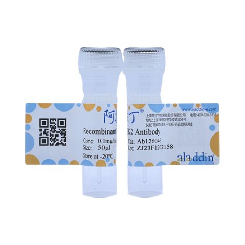aladdin 阿拉丁 Ab126046 Recombinant RSK2 Antibody Recombinant (R05-6E3); Rabbit anti Human RSK2 Antibody; WB, IHC; Unconjugated
