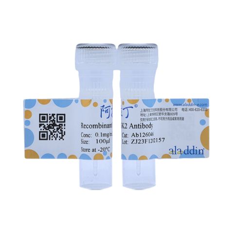 aladdin 阿拉丁 Ab126046 Recombinant RSK2 Antibody Recombinant (R05-6E3); Rabbit anti Human RSK2 Antibody; WB, IHC; Unconjugated