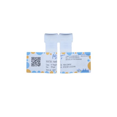 aladdin 阿拉丁 Ab128582 SOCS1 Antibody pAb; Rabbit anti Human SOCS1 Antibody; WB, IHC; Unconjugated