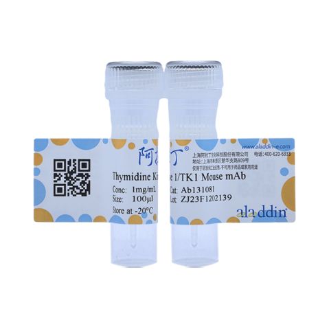 aladdin 阿拉丁 Ab131081 Thymidine Kinase 1/TK1 Mouse mAb mAb (C3); Mouse anti Human Thymidine Kinase 1/TK1 Antibody; WB, ICC, IF; Unconjugated