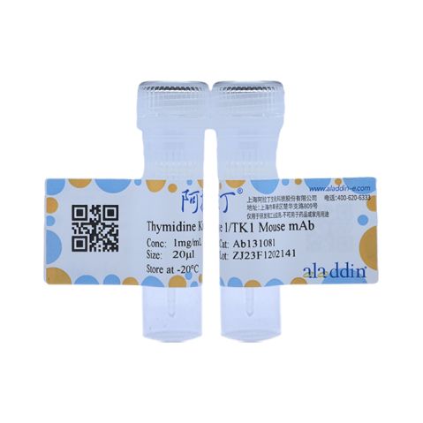 aladdin 阿拉丁 Ab131081 Thymidine Kinase 1/TK1 Mouse mAb mAb (C3); Mouse anti Human Thymidine Kinase 1/TK1 Antibody; WB, ICC, IF; Unconjugated