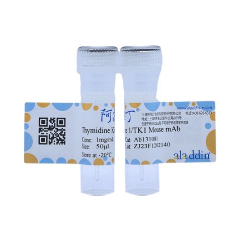 aladdin 阿拉丁 Ab131081 Thymidine Kinase 1/TK1 Mouse mAb mAb (C3); Mouse anti Human Thymidine Kinase 1/TK1 Antibody; WB, ICC, IF; Unconjugated