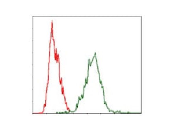 aladdin 阿拉丁 Ab134985 YAP1 Mouse mAb mAb(1A12); Mouse anti Human YAP1 Antibody; ELISA, WB, IHC, Flow; Unconjugated