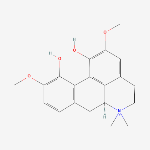 aladdin 阿拉丁 M422588 木兰花碱 10mM in DMSO