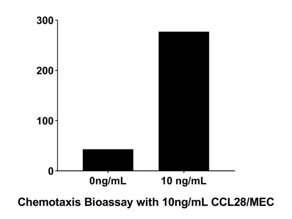 aladdin 阿拉丁 rp143745 Recombinant Human CCL28 Protein  Animal Free, >96% (SDS-PAGE, HPLC), Active, E.coli, No tag, 20-127 aa