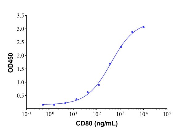 aladdin 阿拉丁 rp144122 Recombinant Human CD80 Protein Animal Free, >95% (SDS-PAGE), Active, 293F cell, His-tag, 35-242 aa