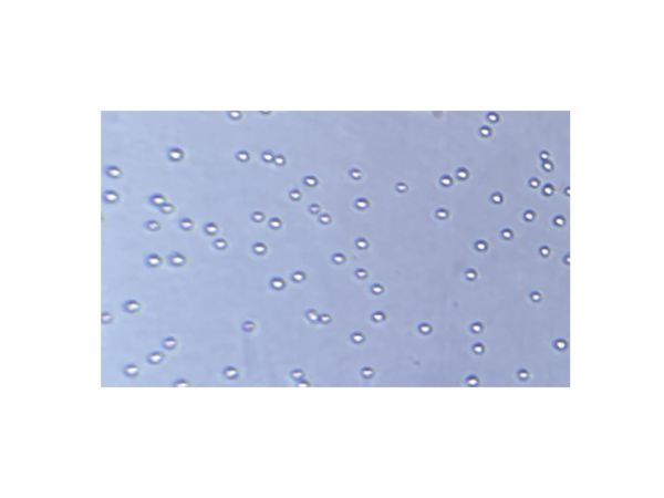 aladdin 阿拉丁 rp145590 Recombinant Human EpCAM Protein Animal Free , >95%(SDS-PAGE), Active, 293F, His tag, 24-265 aa