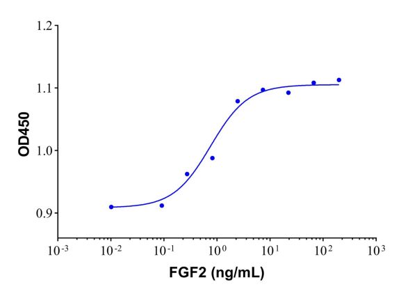 aladdin 阿拉丁 rp145939 Recombinant Human FGF basic/FGF2/bFGF(155aa) Protein GMP, >95% SDS-PAGE, Active, E.coli, No tag, 134-288 aa
