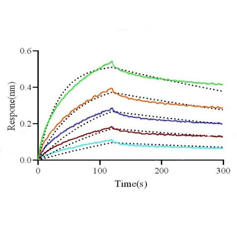 aladdin 阿拉丁 rp146027 Recombinant Human FGL1 Protein Animal Free, >95% (SDS-PAGE), Active, HEK293, C-Fc tag, 23-312 aa