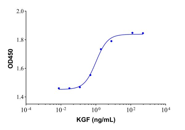 aladdin 阿拉丁 rp148028 Recombinant Human KGF/FGF-7 Protein Animal Free, >95% SDS-PAGE, Active, E.coli, No tag, 32-194aa