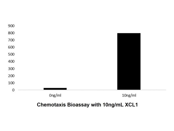 aladdin 阿拉丁 rp148449 Recombinant Human XCL1 Protein Animal Free, >98%( SDS-PAGE and HPLC), Active, E.coli, No tag,  23-114 aa