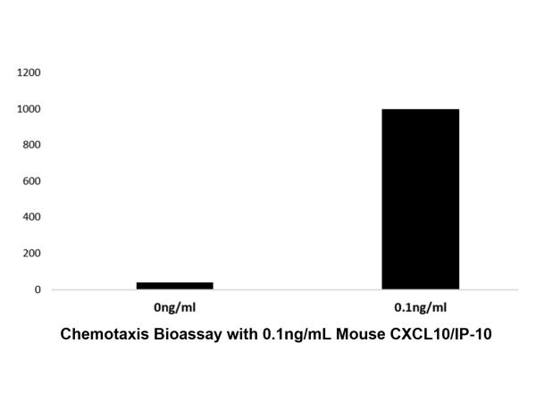 aladdin 阿拉丁 rp153848 Recombinant Mouse CXCL10/IP-10 Protein Animal Free, >97%(SDS-PAGE and HPLC), Active, E.coli, No tag, 22-98 aa