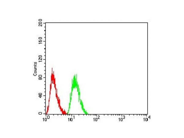 aladdin 阿拉丁 Ab087937 AKT1 Mouse mAb mAb (1F7E10); Mouse anti Human AKT1 Antibody; WB, ICC, IF, Flow, ELISA; Unconjugated